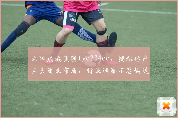 太阳成城集团tyc234cc，揭秘地产巨头商业布局，行业洞察不容错过