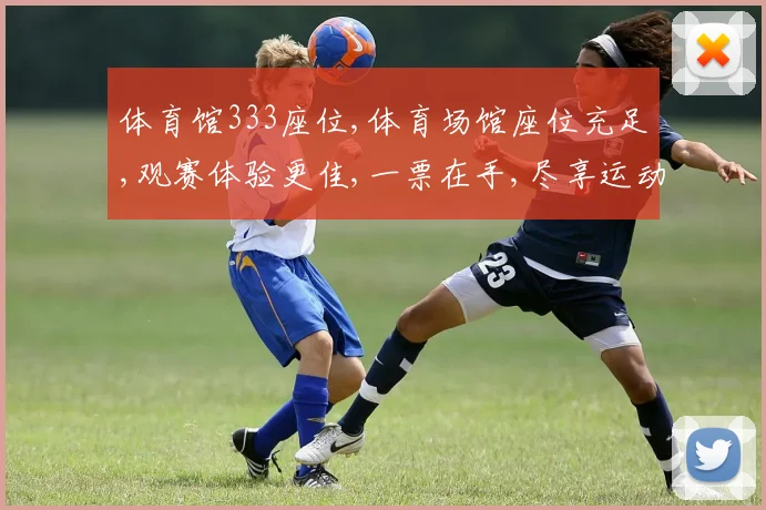 体育馆333座位,体育场馆座位充足,观赛体验更佳,一票在手,尽享运动盛宴,