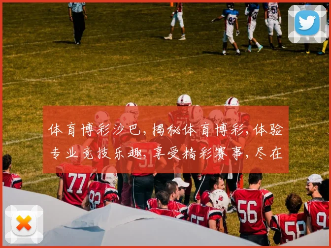 体育博彩沙巴,揭秘体育博彩,体验专业竞技乐趣,享受精彩赛事,尽在其中。
