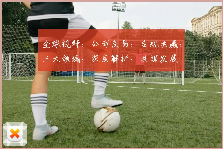 全球视野，公海交易，合规共赢，三大领域，深度解析，共谋发展。