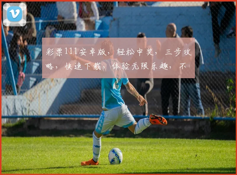 彩票111安卓版，轻松中奖，三步攻略，快速下载，体验无限乐趣，不容错过